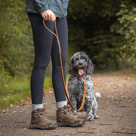 light tan leather dog leash