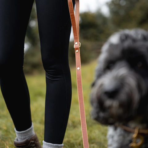 strong leahter dog lead