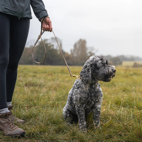 black leather dog leash for all dogs