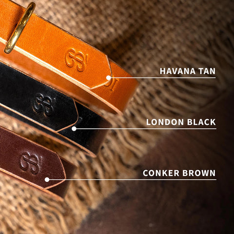 leather dog collar for all breeds