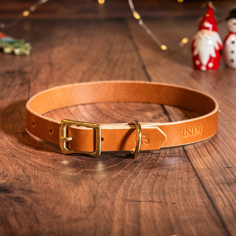 light brown dog collar