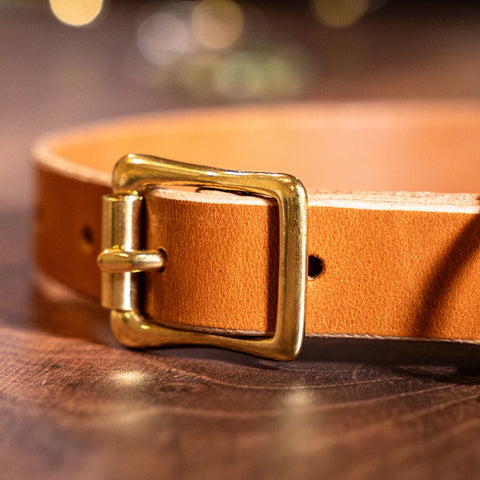 strong leather dog collar