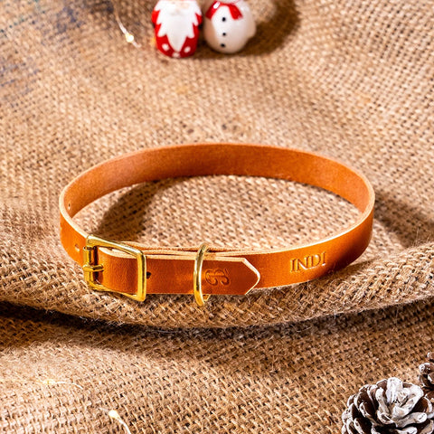 tan leather dog collar for retrievers